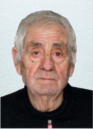 Leone Solari (Leonello)